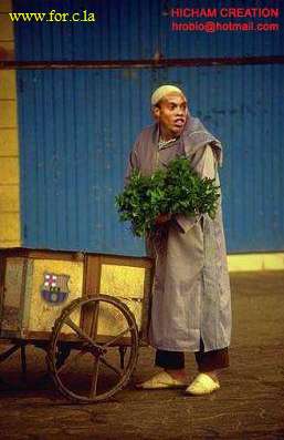 biya3 li9amaaaaaaaaaaaaaaaaaa..........?