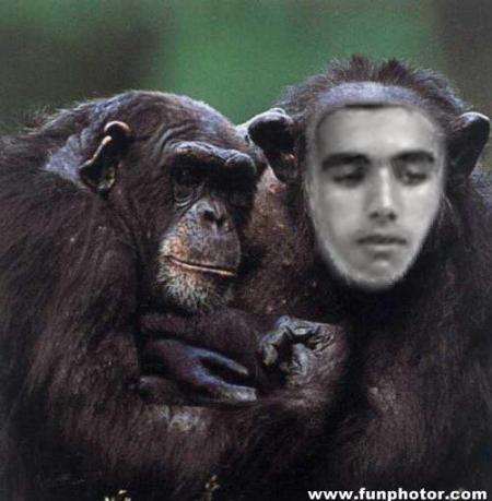 c-est hadou le meilleur de singe?