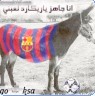 chofo bach katmtaze le barca jat m3a had le hmar dima jahaze?